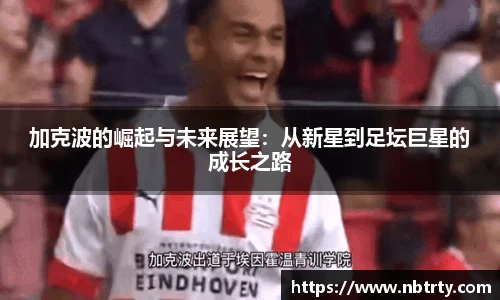  芒果体育官方app下载