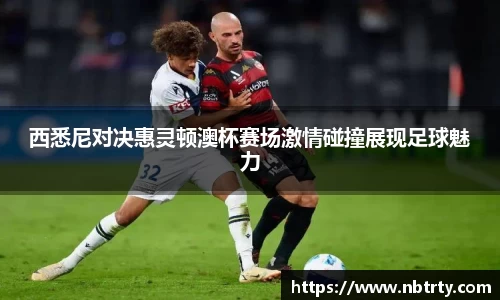 西悉尼对决惠灵顿澳杯赛场激情碰撞展现足球魅力